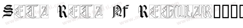 Seta Reta NF Regular字体转换